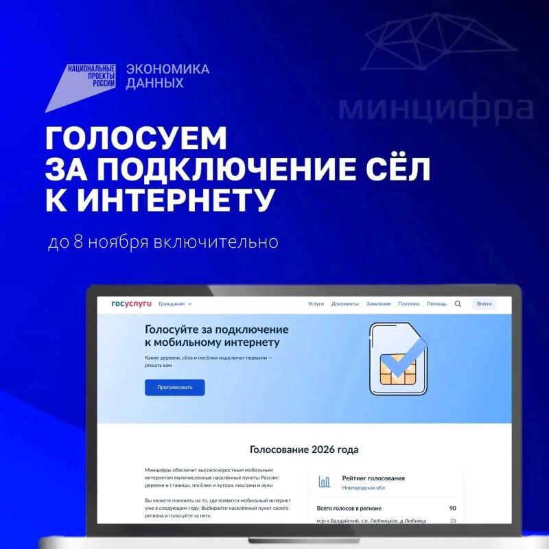 Жители Новгородской области выбирают населенные пункты для подключения интернета