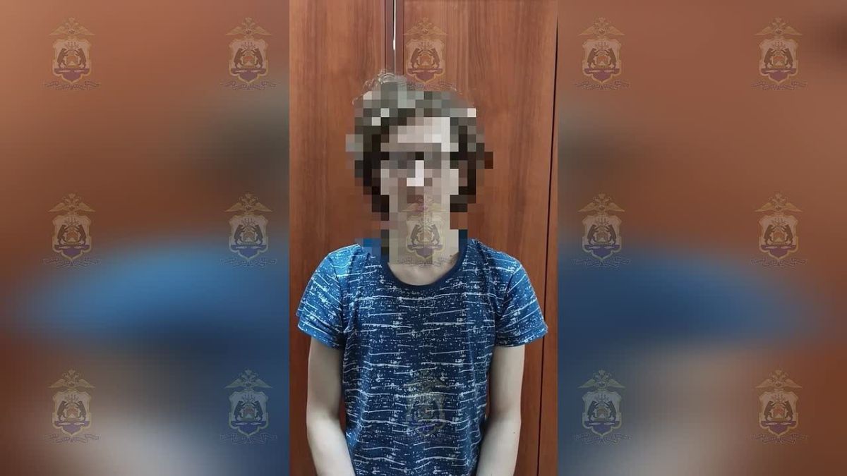 В Новгородской области вынесен приговор дропперу из Липецкой области, забравшего у россиян более 6 миллионов рублей