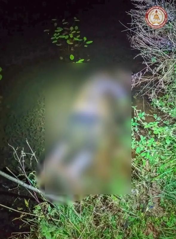 В Демянском округе в пруду утонул пожилой мужчина