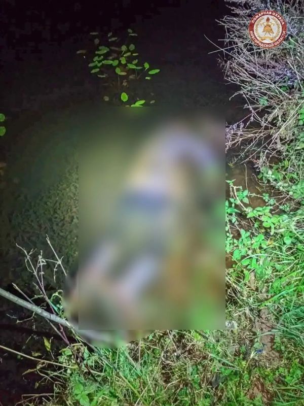 В Демянском округе утонул пожилой мужчина