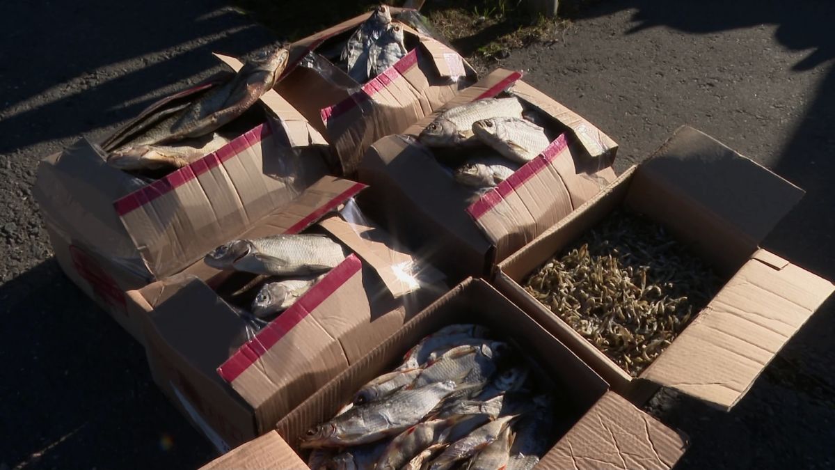 На СВО отправился большой уникальный подарок от новгородских охотников и рыбаков На СВО отправился большой уникальный подарок от новгородских охотников и рыбаков