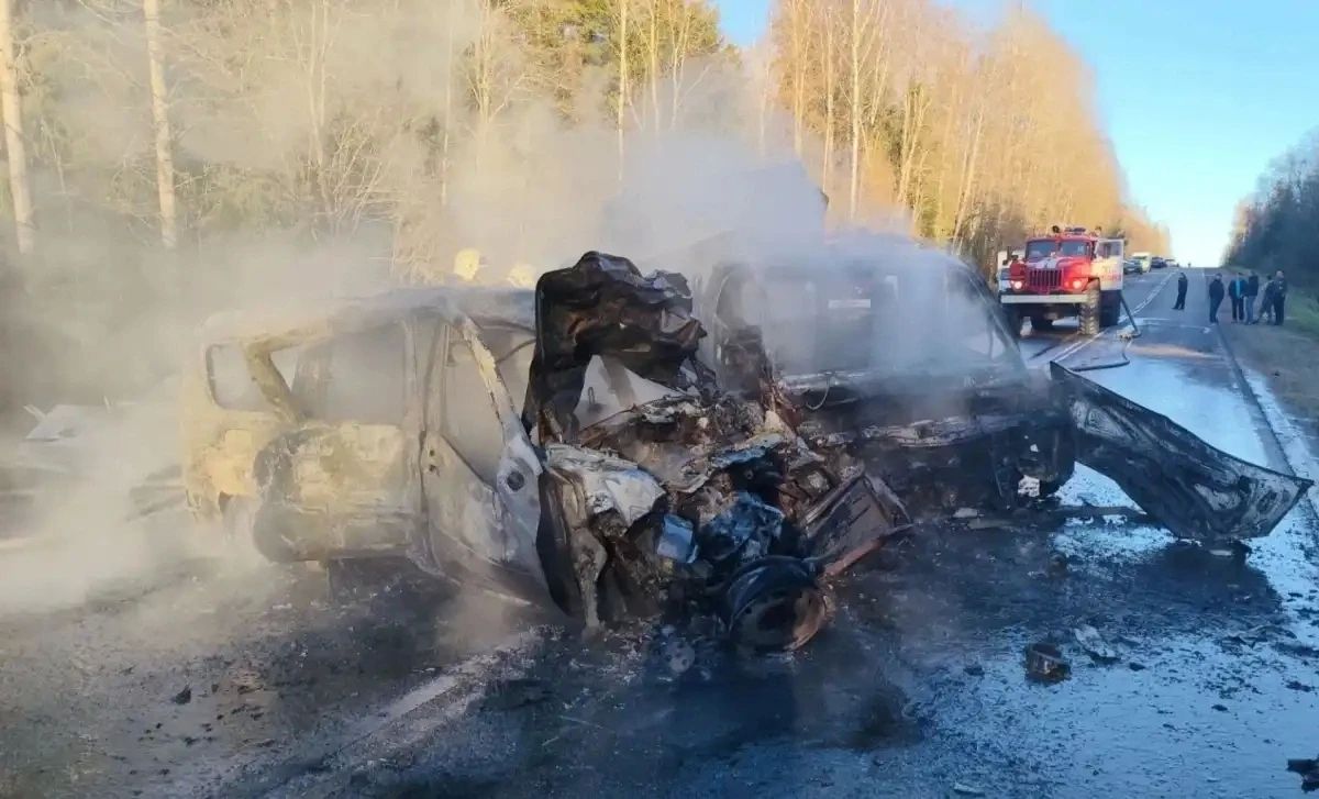 В Окуловском округе при лобовом столкновении двух автомобилей погиб пожилой водитель «Лады»