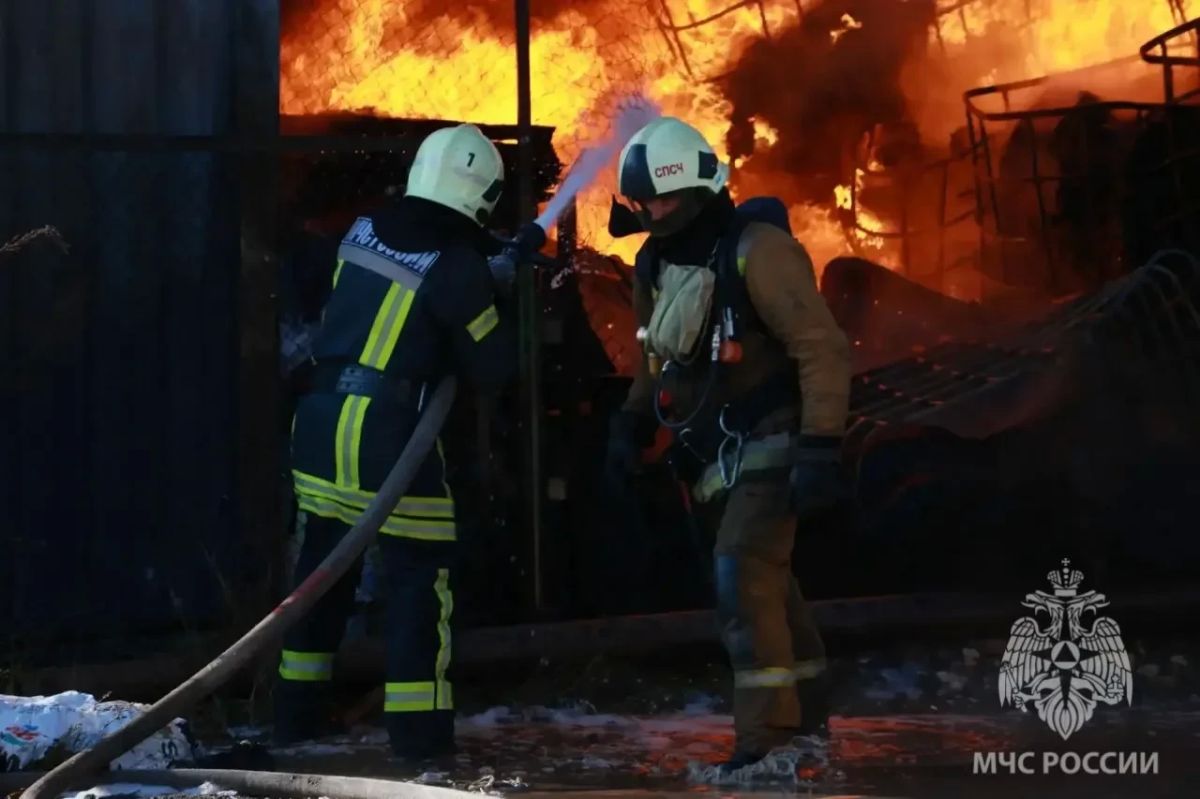 МЧС опубликовало фото пожара на улице Большой Санкт-Петербургской МЧС опубликовало фото пожара на улице Большой Санкт-Петербургской
