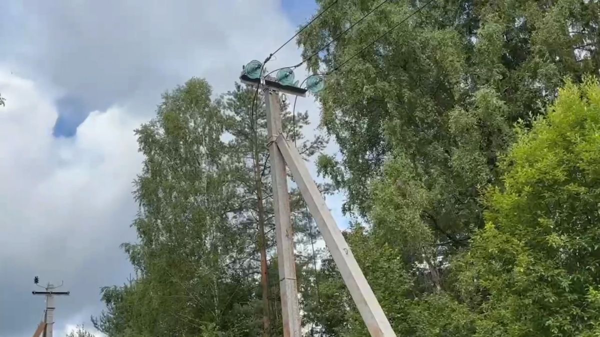 В Новгородской области реконструкция ЛЭП снизила аварийность на 70%