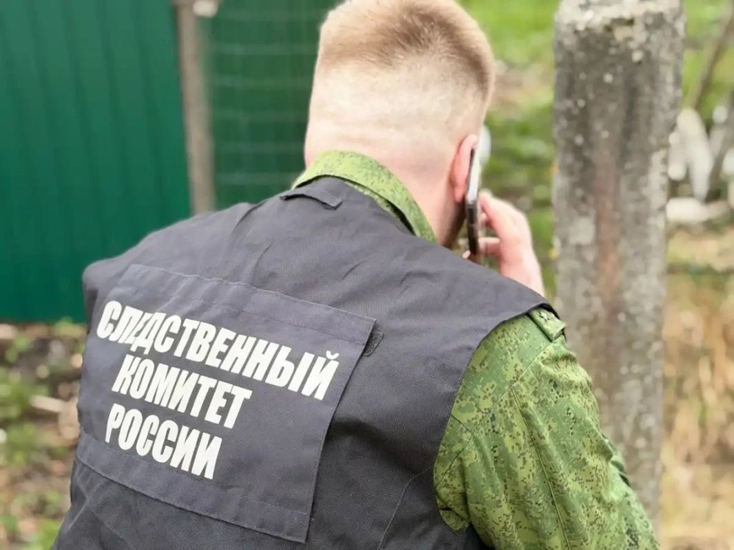 В Великом Новгороде проверяют информацию о буллинге в одной из школ