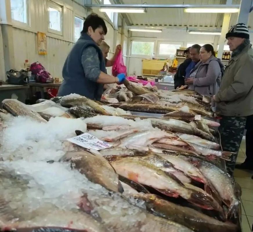 В Великом Новгороде и Старой Руссе пройдёт последняя в сезоне акция «Доступная рыба»