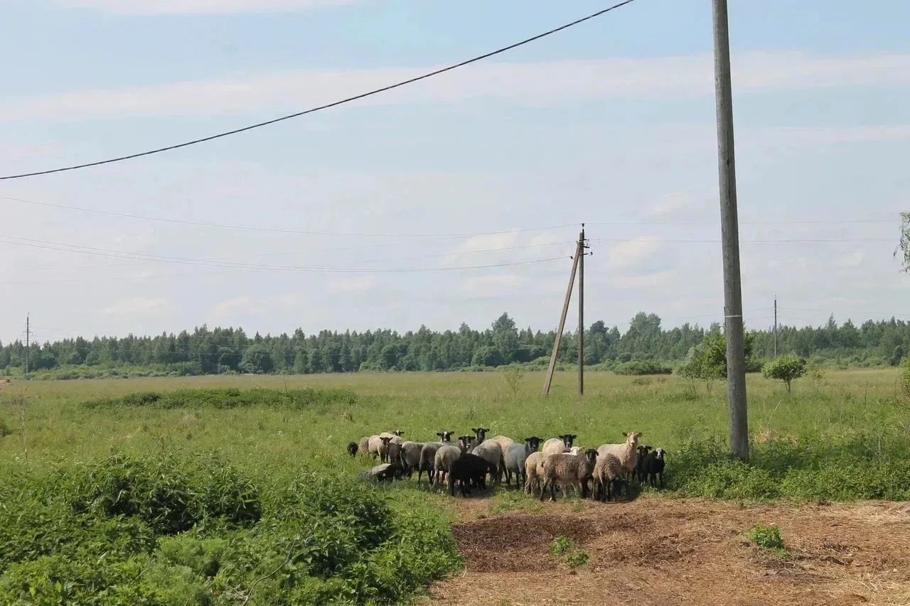 Новгородские ветераны СВО осваивают новые профессии в «Школе фермера»