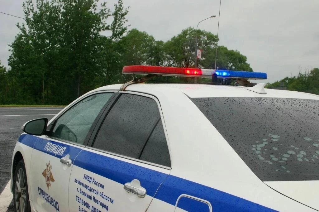 Новгородский экипаж ДПС помог женщине сохранить палец