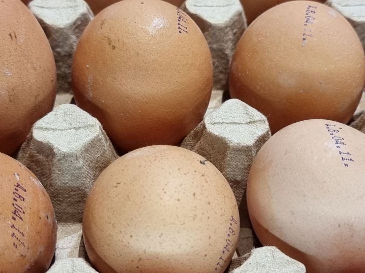 Заблуждения о еде: вред яиц, польза низкокалорийных продуктов и другие мифы