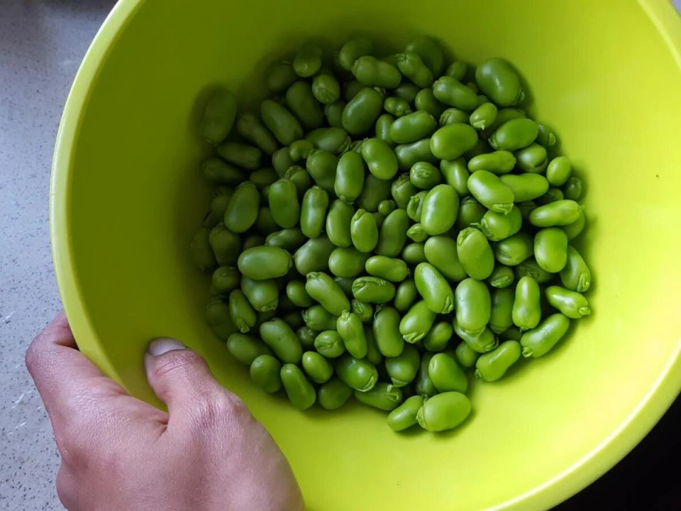 Почему горох и фасоль должны стать частью вашего рациона каждый день