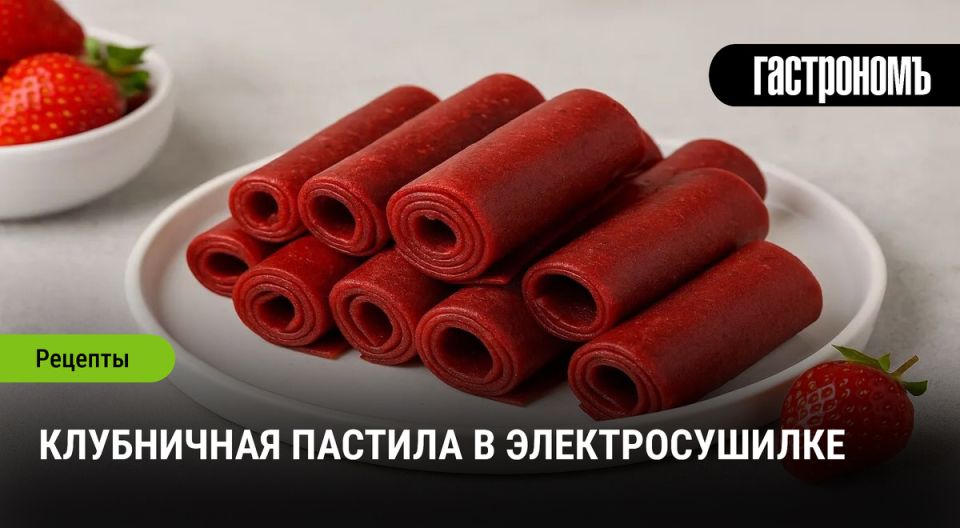 Клубничная пастила: просто, вкусно и полезно при помощи электросушилки