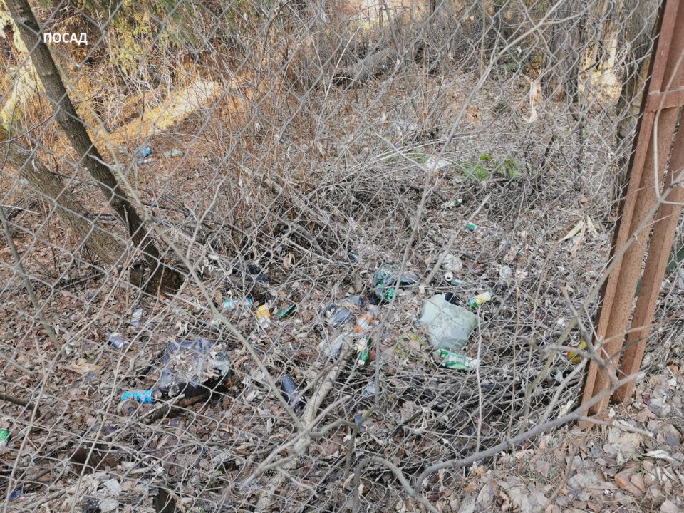 Как избежать споров с соседями: хитрый забор, который всё решит