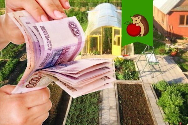 Зачем страховать дачу: риски, преимущества и выбор полиса