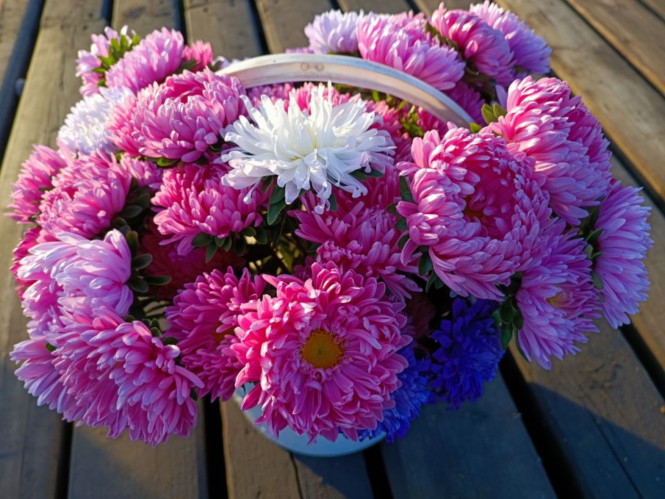 ������ ��� ����������� ����: ���� � ������