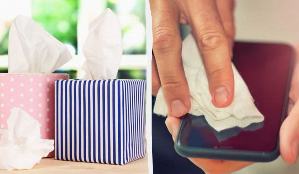 ������� ������: ��� �� ����� ������� ����� ������ ���������