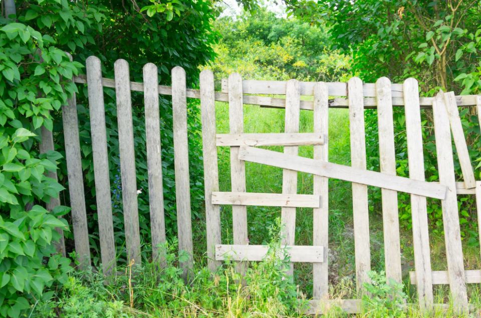 ������ �� ����: 15 �������, � ������� ����� �������