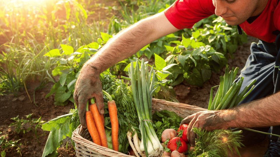 ��� ������� ������� ���� ������: ������� ���� ��� ��������