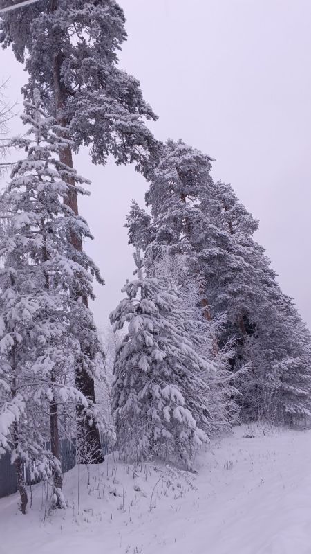 Секреты семейного уюта: как провести Новый год с позитивом и заботой о родителях