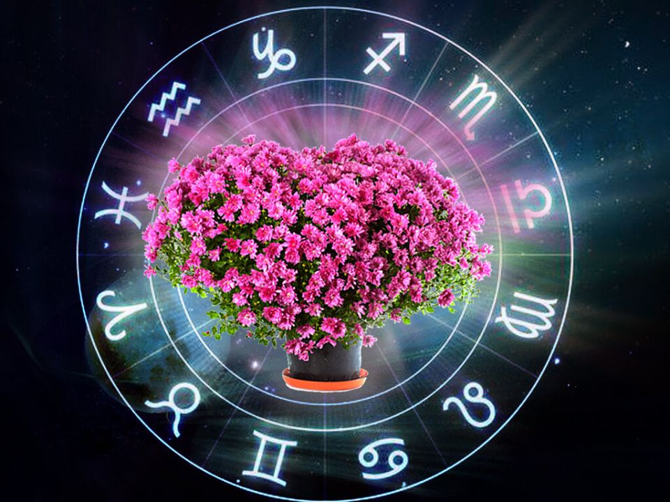 ��� ������� ����� �� ����� ���: ������ �� ������ �������