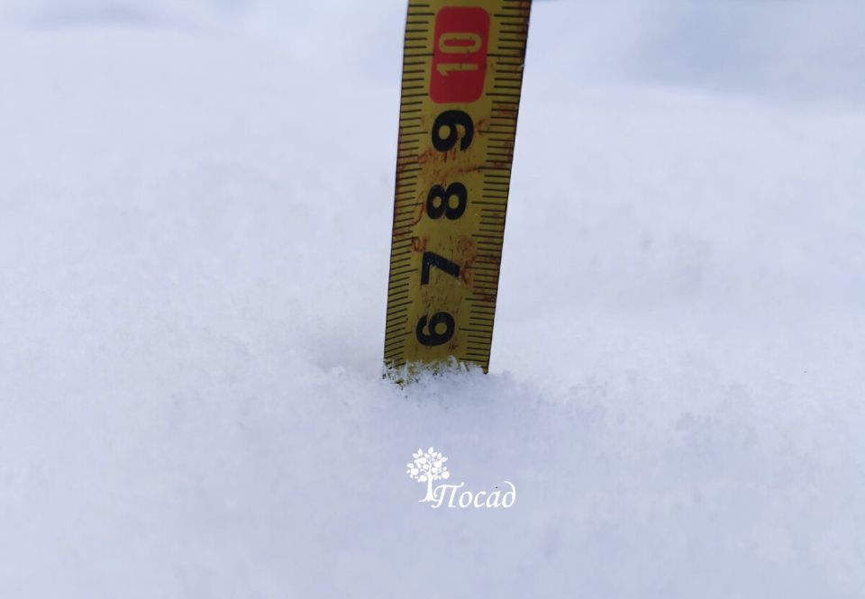 ��� ������ ��� �� ���������� �������: ������ ��� ���������