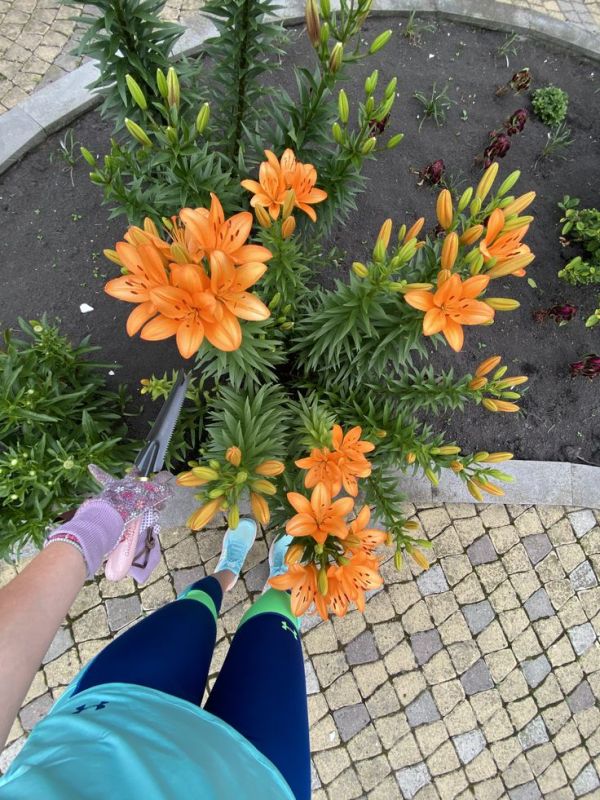 6 ��������� �����������: ��� �� ����� ������ � ������ ����