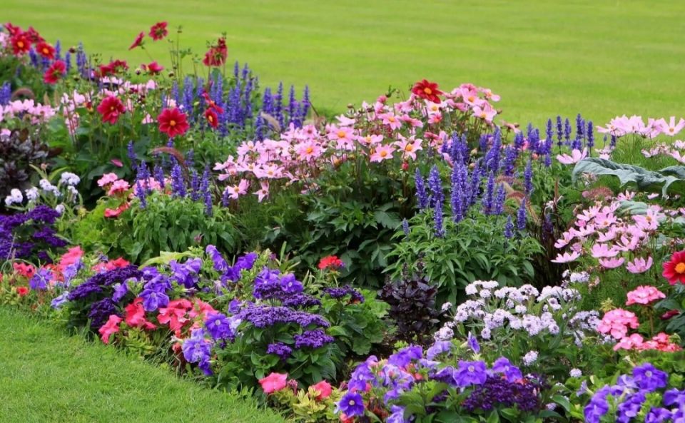 �������� ������� ������: �� �������� ���� �������� ����� � �������