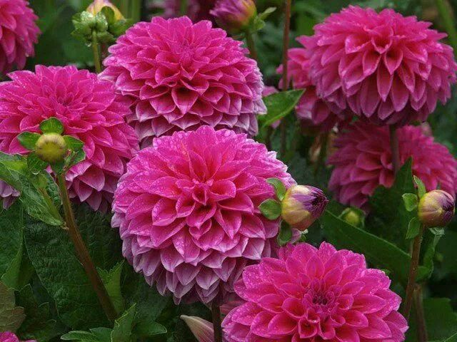 ������� �������� ��������� ���������: ������ �� ����� � ����� ����