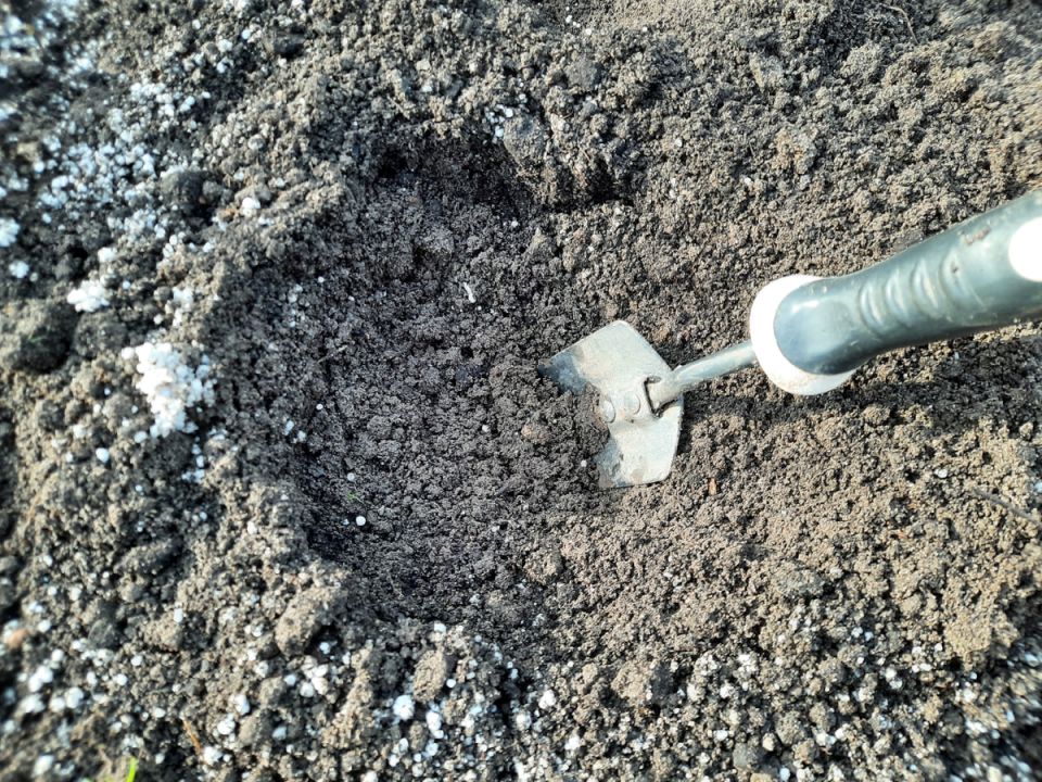 ������� ������ �����: ������ ��� ����� ��� �������� ��������?