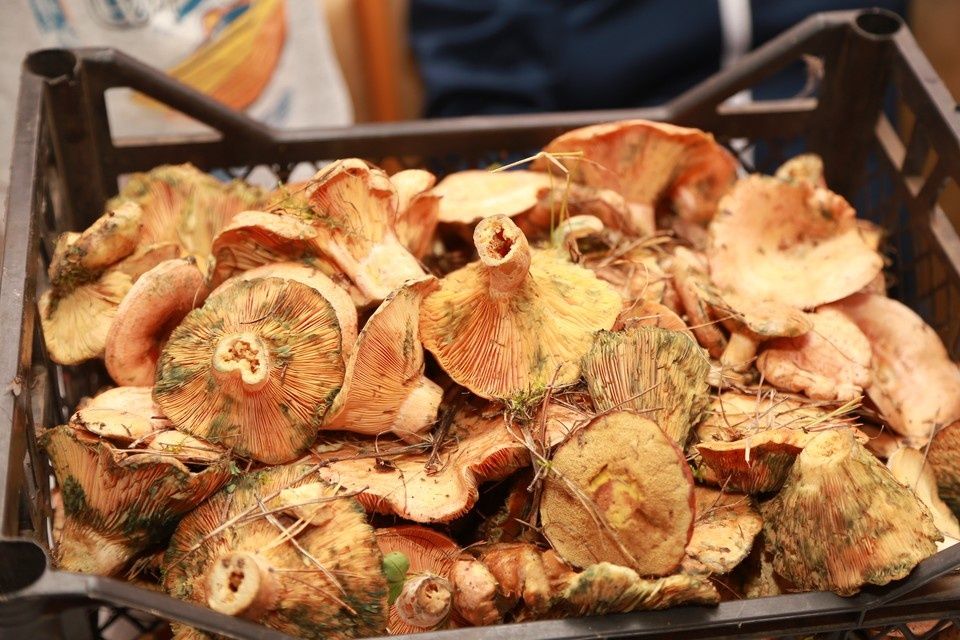 ������ ����������� �������� ��� ������: ������ ������� ����� ��-�� ������