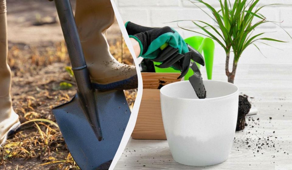 ���������� �������� ��������� ��� ��������� � ��������� ��������: ����� ������ � ��� ���������