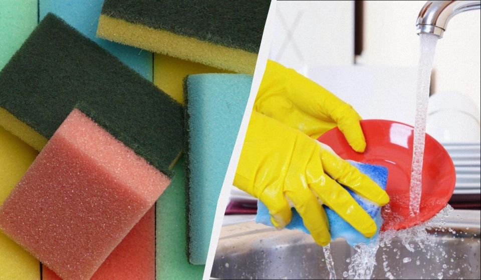 ��� ���� ����� ��� ������ �������� ���� �� ������