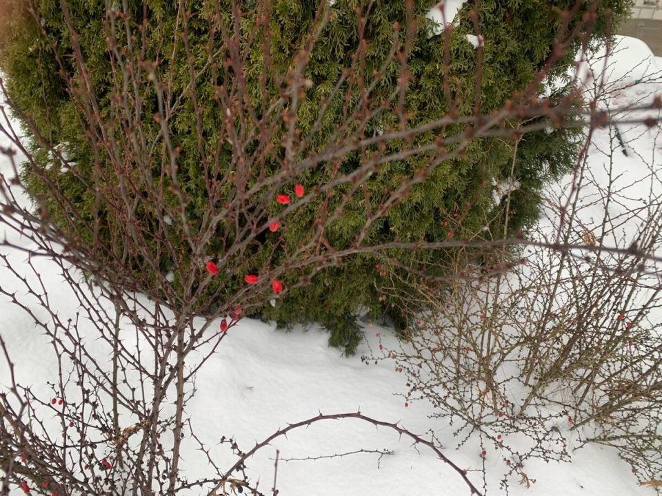 ��� ��������� ��������� �������� �� ����� ����� � �������� ����� ��������