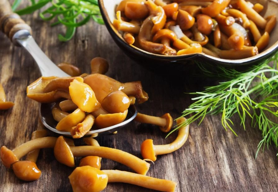 ��� ��������� ���� ������ �� ��� ����: ������� �������� ���������