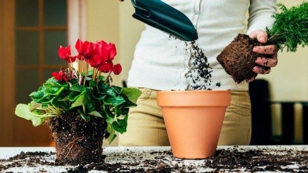 ������ ��� ��������� ��������� ��������