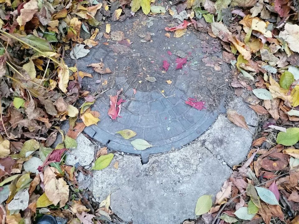 ����������� �������� ��� ��������: ������� ������� ��������