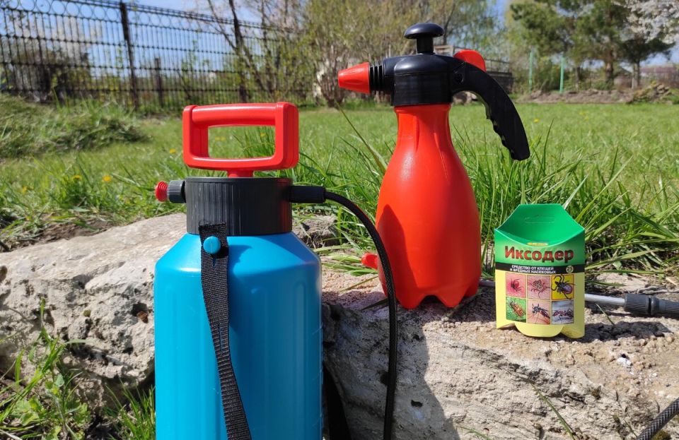 ����� �������� �������� � ����� ������ �� �������� �� �������