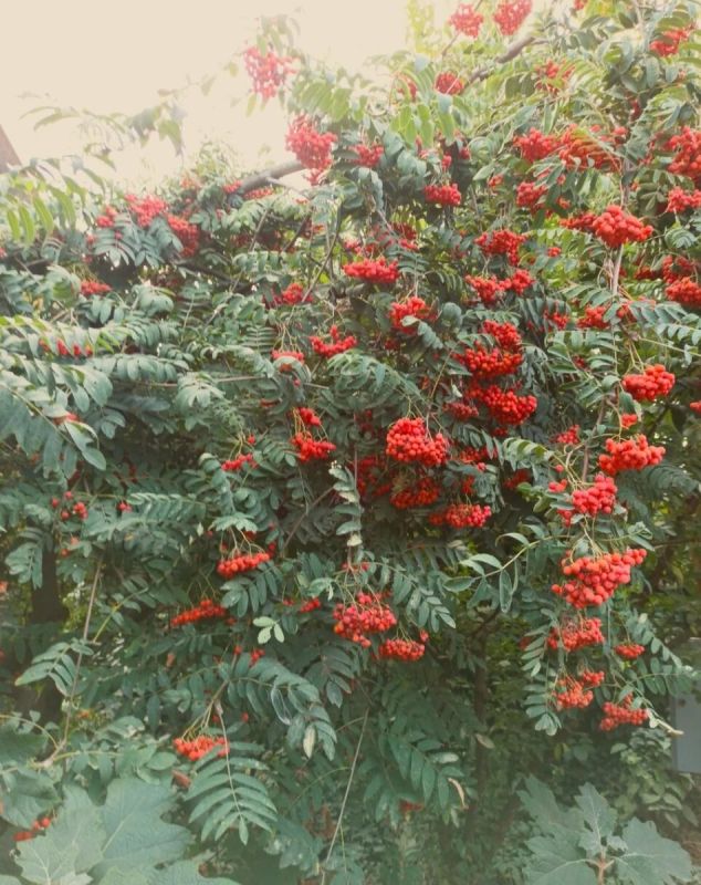 ����� ������: ��� ������� ��� ��� � ����� ����� ������