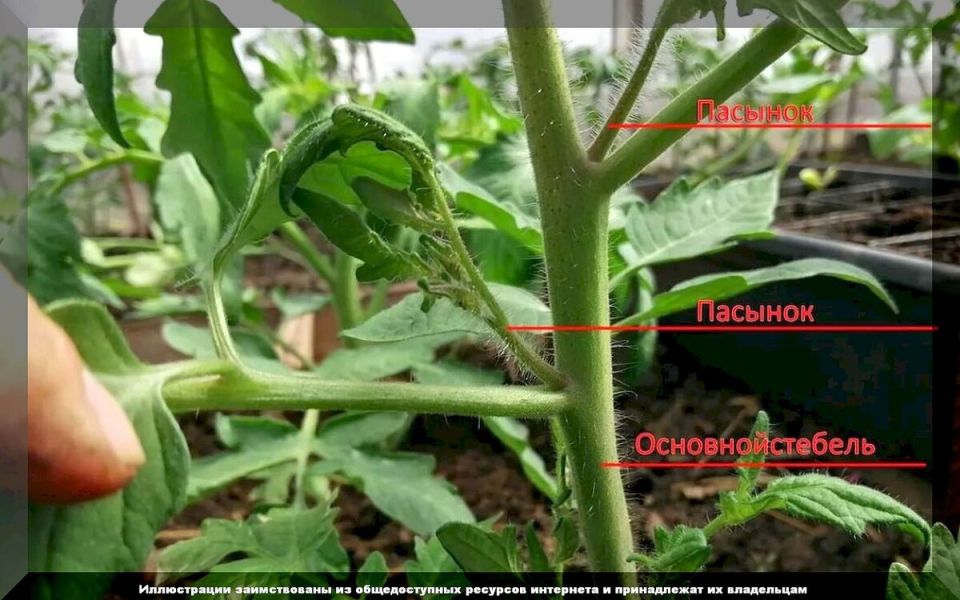 ���������� �������: �������� ������ � ������ ��� ��������� ������