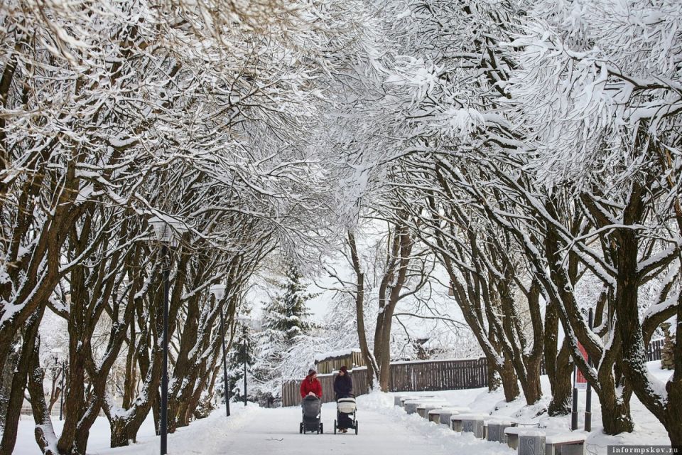 ����������� ���������: ��� ���� ������� � ����� ������