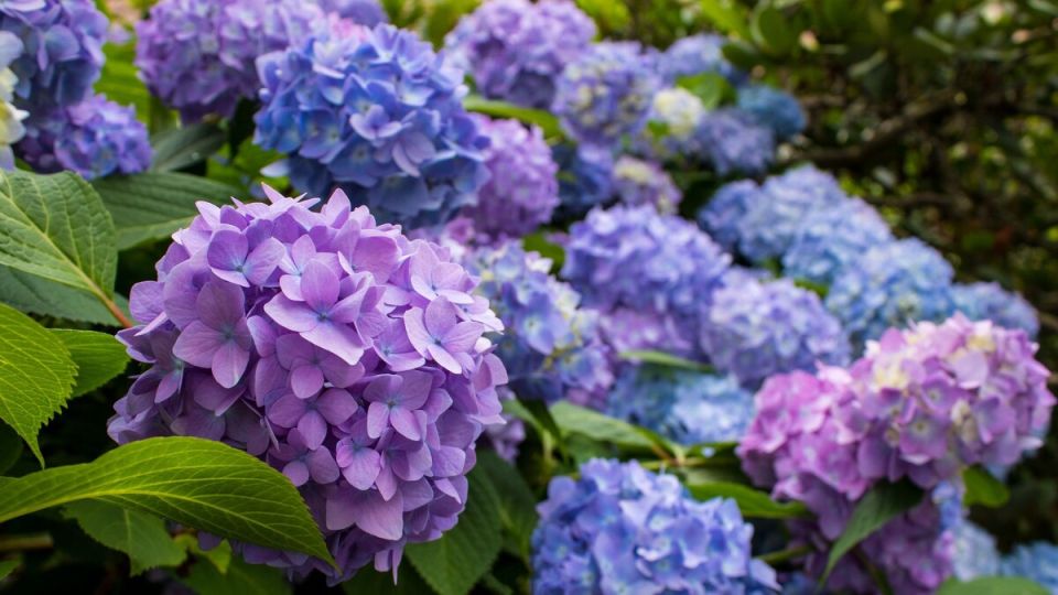 ������ ������ � ����� �������� ������ � ����������?