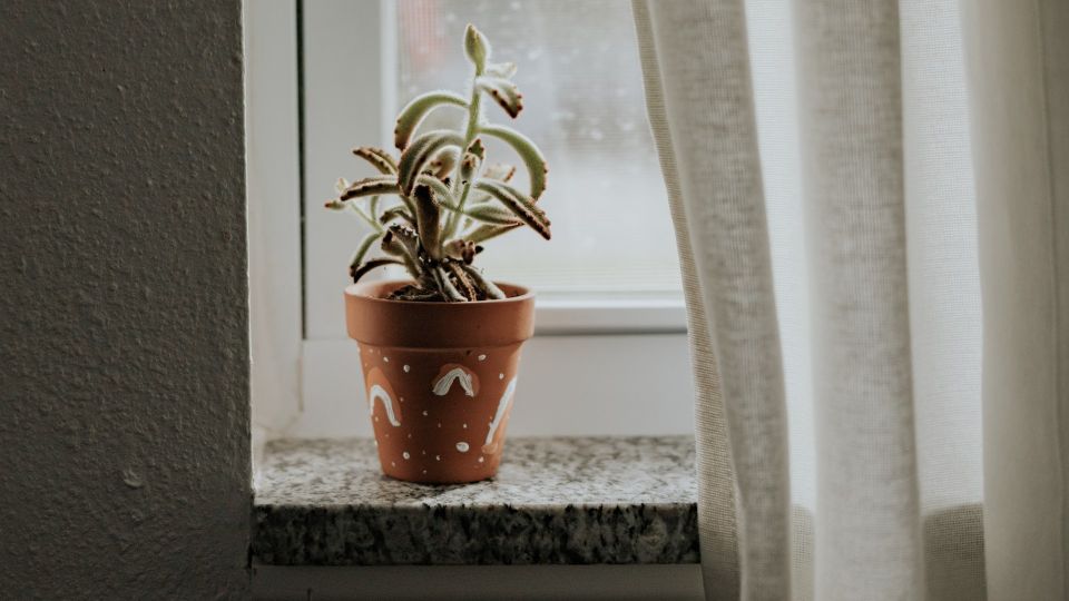 ����� � ���� �� ������: ��� ��� ������ ���������� �� ��������� �� �������� �����