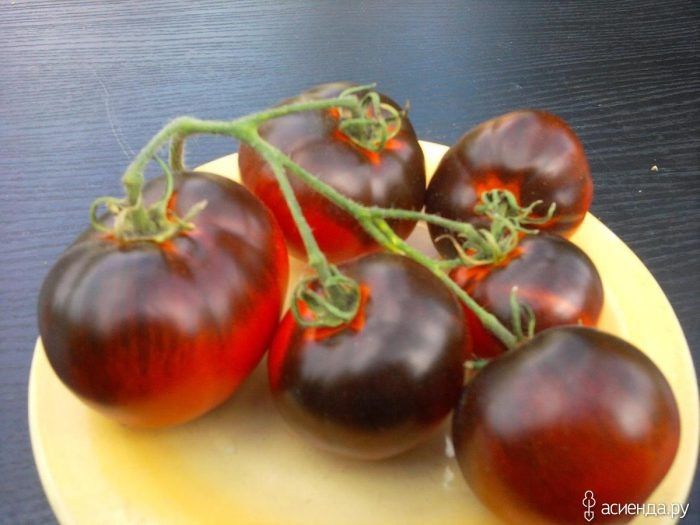 ����� ������� �����: ��������, ������� �������� ������ � ������� �����