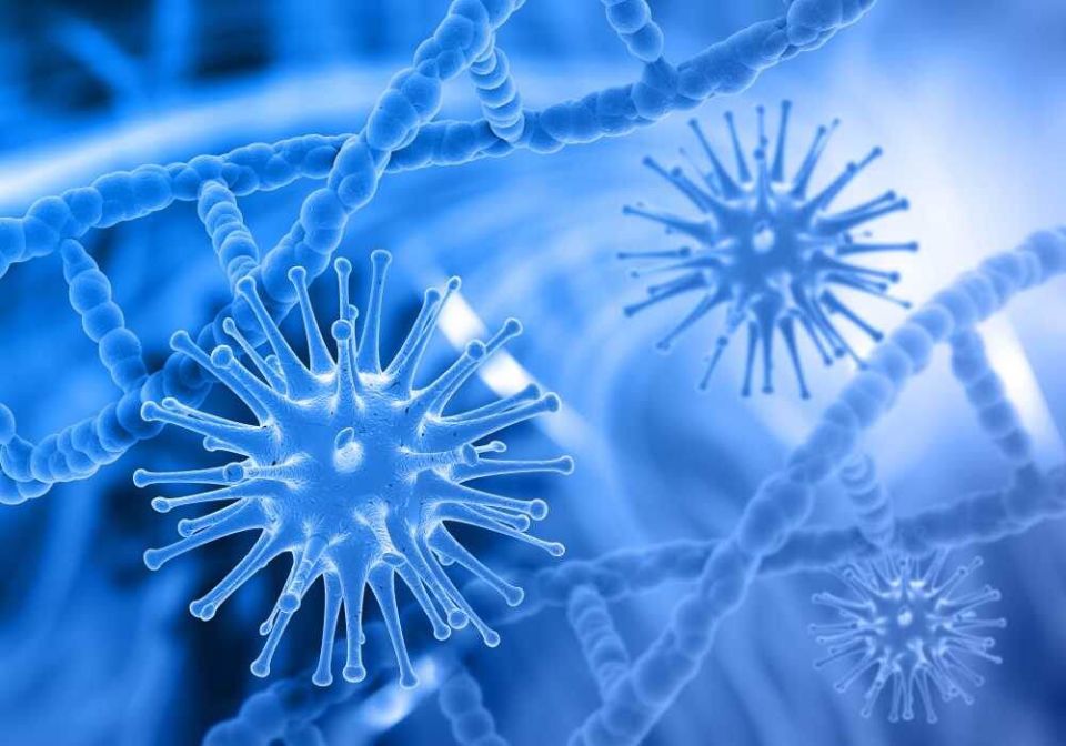 ����������� ����������� ��������: �������� ���� �� ��������