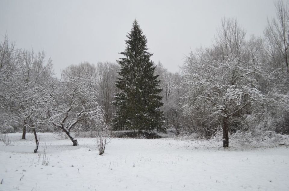 ������ ������ ������: ������������� ��� ������ ��������� �������� � ��������� ������