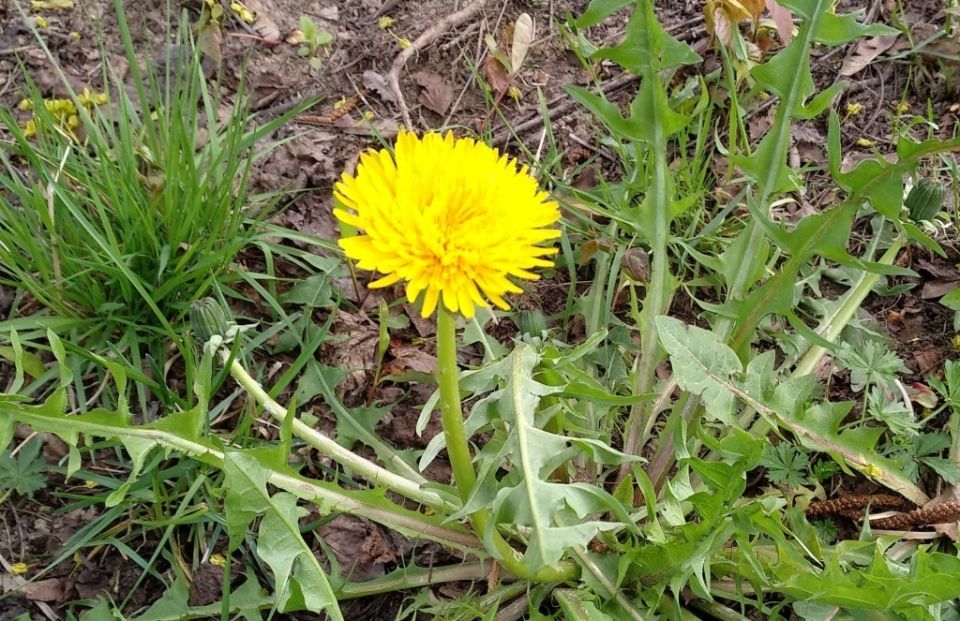 6 ������� ������, ����� ���������� �� ��������� ��������