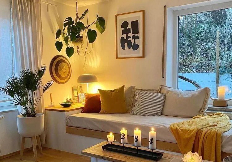 Недооцененные комнатные растения, которые обогатят ваш интерьер