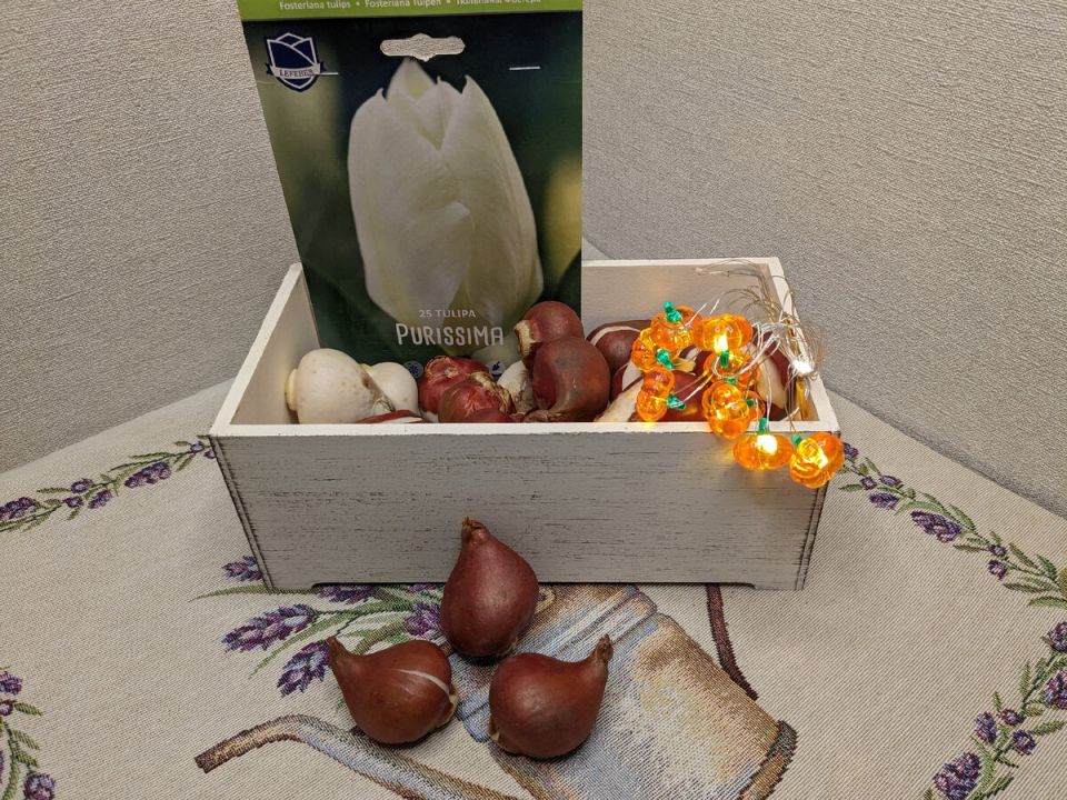 �������� � �����: ��������� ��������� ��� ����� � ����