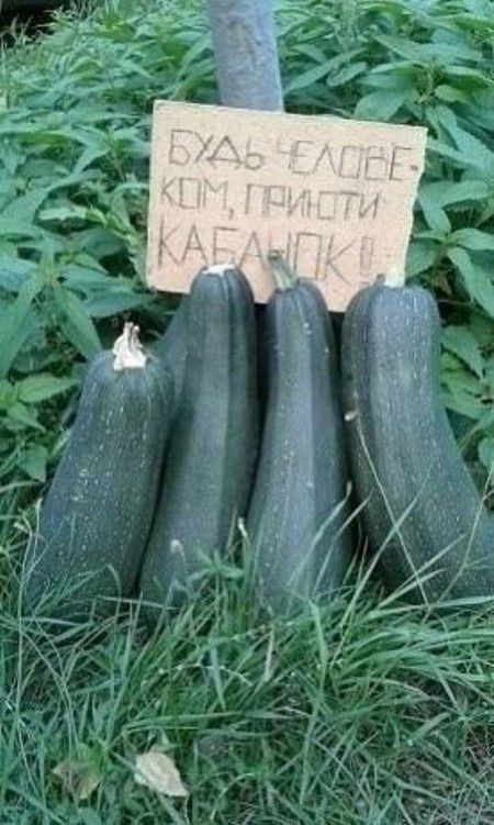 ������� � ��������� ������� �� ���� ��������� � ���������� �����