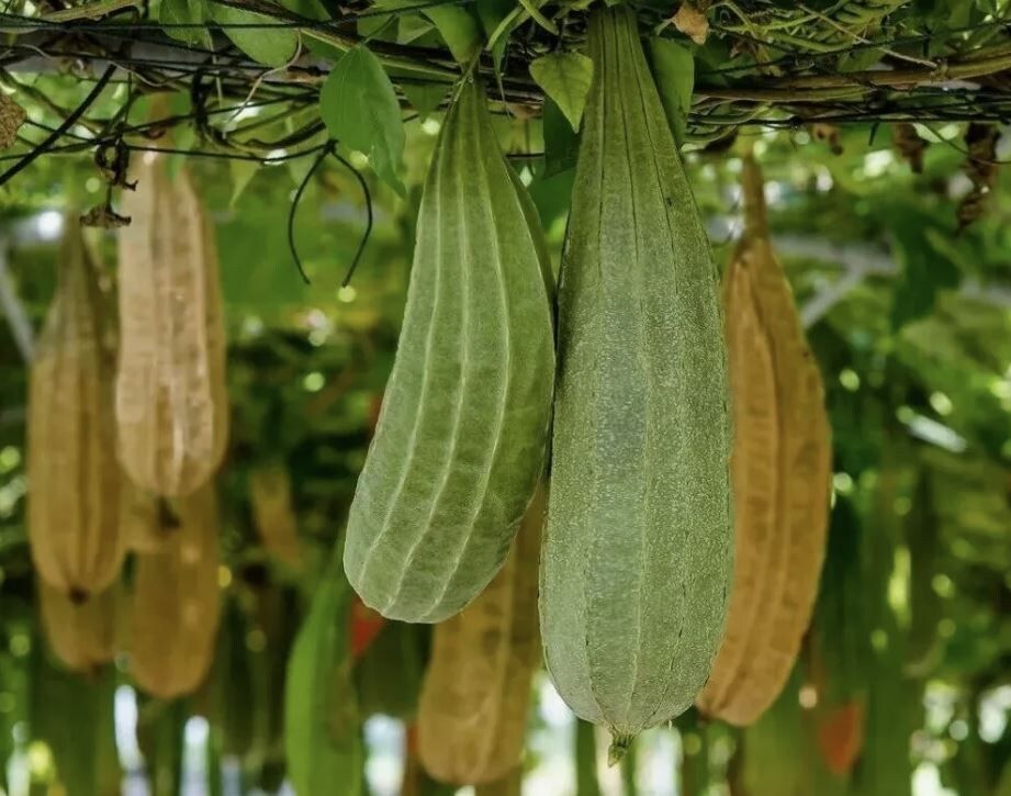 ��� ��������� ����� ��� ����������� �������