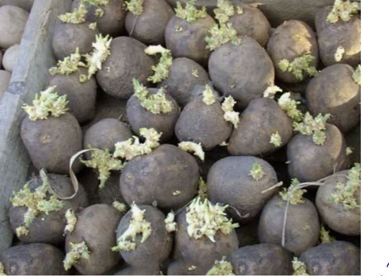 ��� ��������� ����������� ��������� � �������?